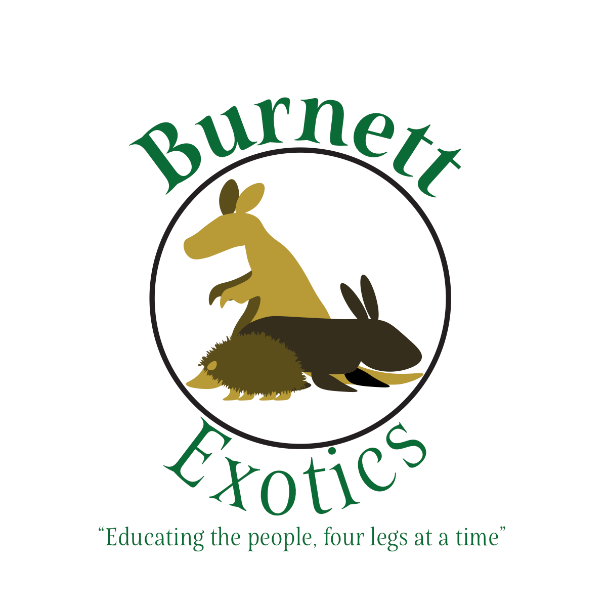 Bunnies for Sale Exotic Pets